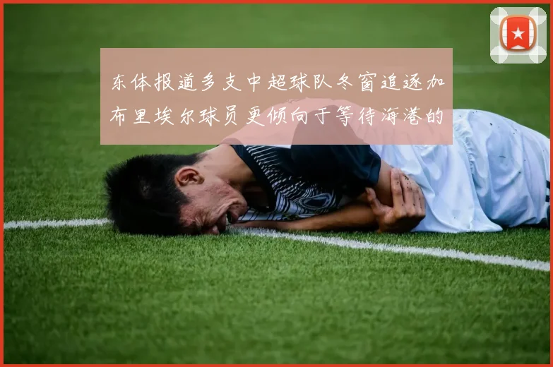 东体报道多支中超球队冬窗追逐加布里埃尔球员更倾向于等待海港的机会