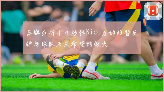 苏群分析小牛炒掉Nico后的短暂反弹与球队未来希望的缺失
