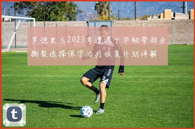 罗德里戈2023年遭遇十字韧带部分撕裂选择保守治疗恢复计划详解