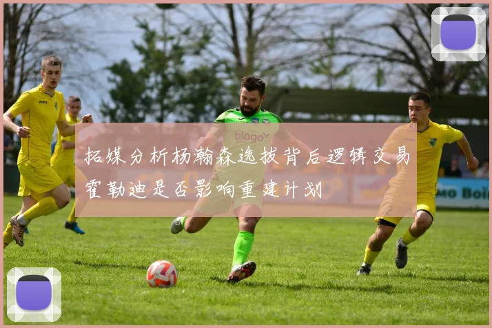 拓媒分析杨瀚森选拔背后逻辑交易霍勒迪是否影响重建计划